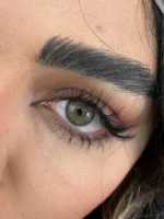 بریز گری - تصویر 3